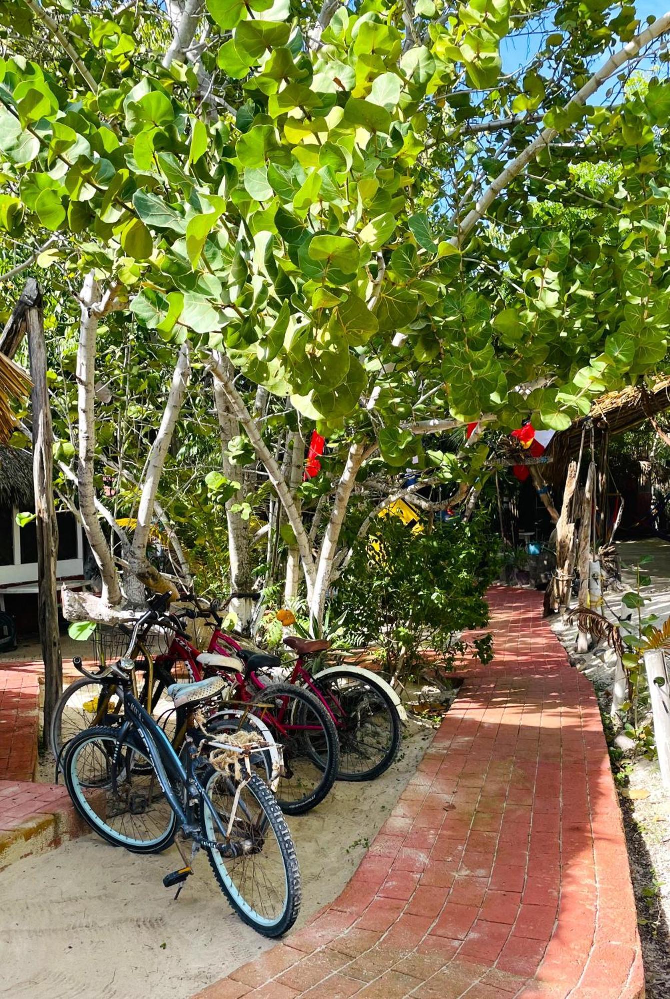 Casa Jade Ecobungalows Las Coloradas Yuluc Экстерьер фото